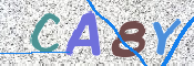 この文字を入力してください