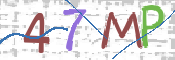 この文字を入力してください