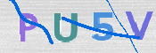 この文字を入力してください