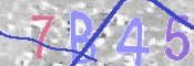 この文字を入力してください