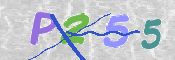 この文字を入力してください