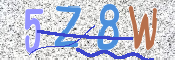 この文字を入力してください