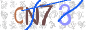 この文字を入力してください