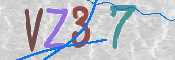この文字を入力してください