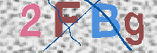 この文字を入力してください