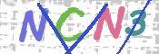 この文字を入力してください