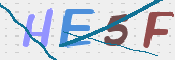 この文字を入力してください