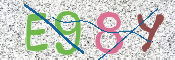 この文字を入力してください