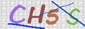 この文字を入力してください