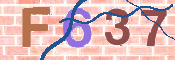 この文字を入力してください