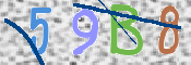 この文字を入力してください