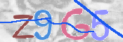 この文字を入力してください