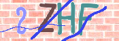 この文字を入力してください