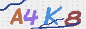 この文字を入力してください