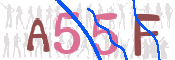 この文字を入力してください