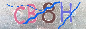 この文字を入力してください