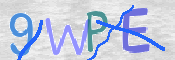 この文字を入力してください