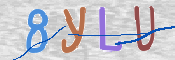 この文字を入力してください