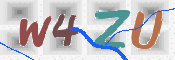 この文字を入力してください