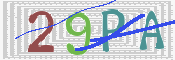 この文字を入力してください