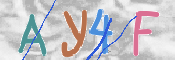この文字を入力してください