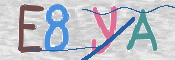 この文字を入力してください