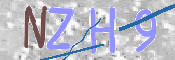 この文字を入力してください