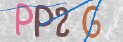 この文字を入力してください