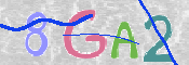 この文字を入力してください