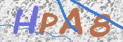 この文字を入力してください