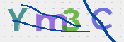この文字を入力してください