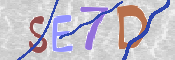この文字を入力してください