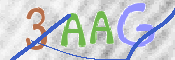 この文字を入力してください