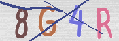 この文字を入力してください