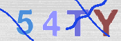 この文字を入力してください