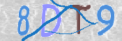この文字を入力してください