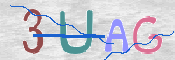 この文字を入力してください