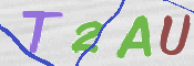 この文字を入力してください