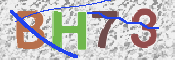 この文字を入力してください
