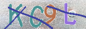 この文字を入力してください