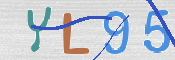 この文字を入力してください