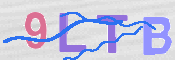 この文字を入力してください