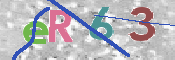 この文字を入力してください