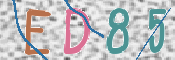 この文字を入力してください
