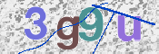 この文字を入力してください