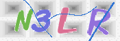 この文字を入力してください