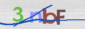 この文字を入力してください