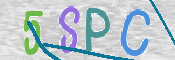 この文字を入力してください