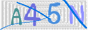 この文字を入力してください