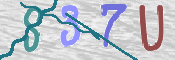 この文字を入力してください